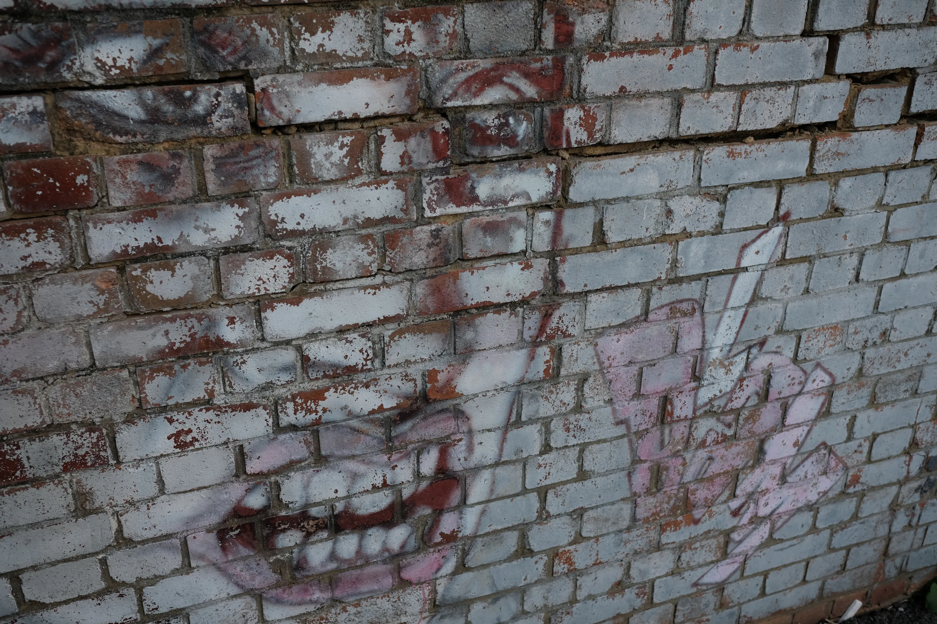 New Neighbours photograph 4